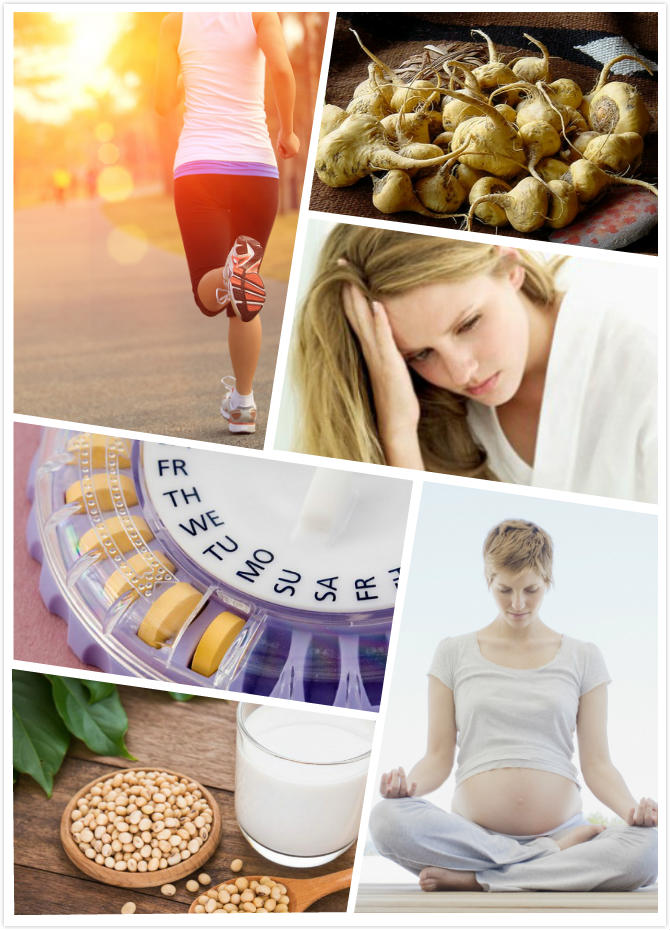 How are progesterone levels naturally increased through food?